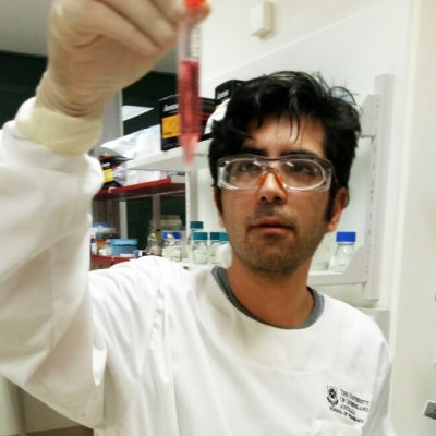 Dr Iman Azimi 